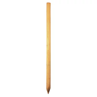4923